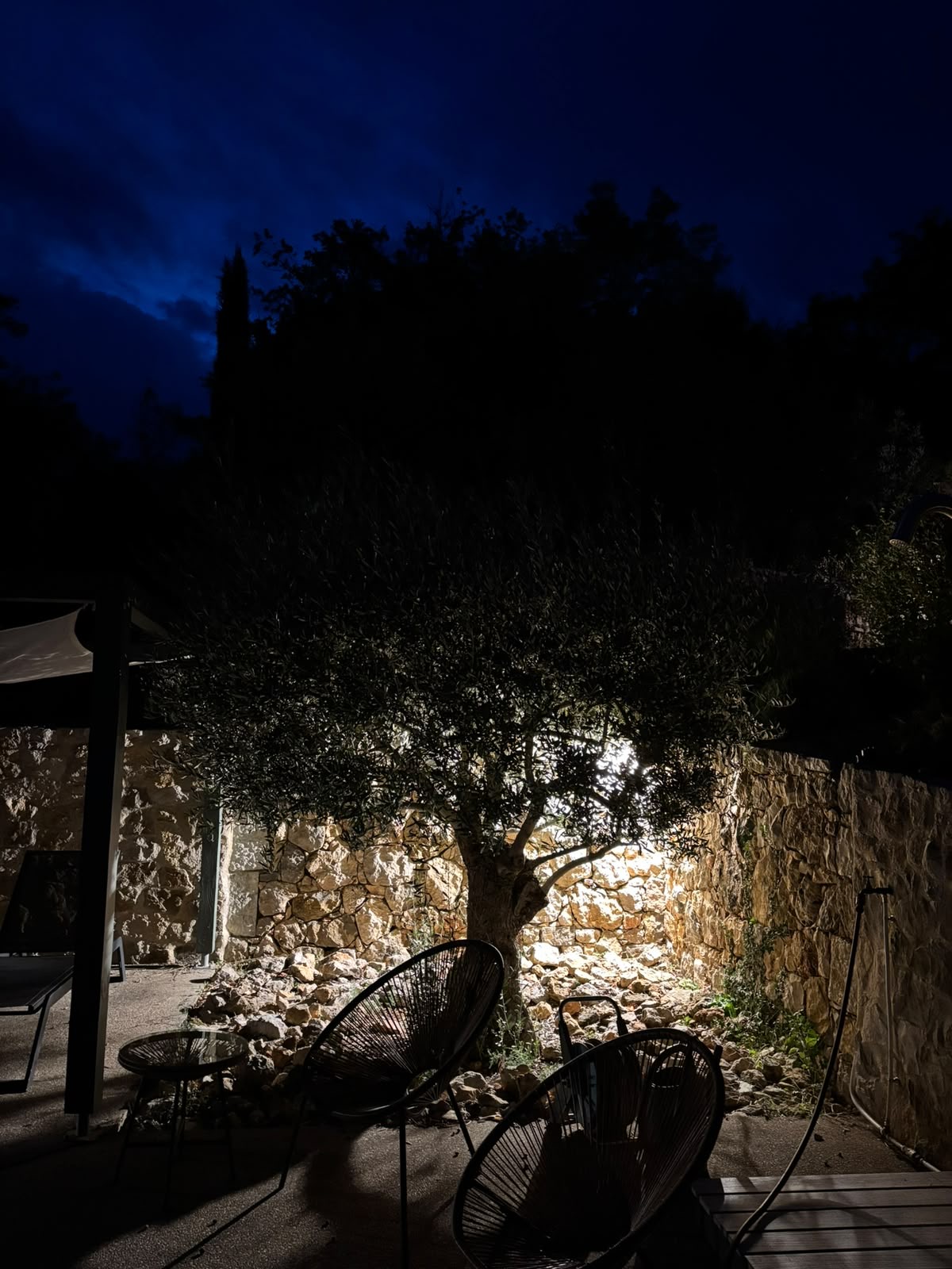 Terrasse de nuit avec olivier et mur en pierre illuminés par spots de sol, Var