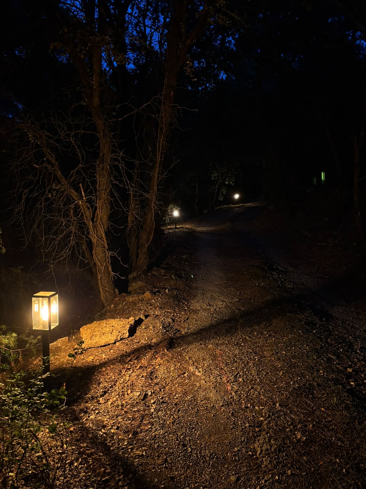 Longue allée de jardin éclairée par des bornes lanternes de nuit, propriété varoises